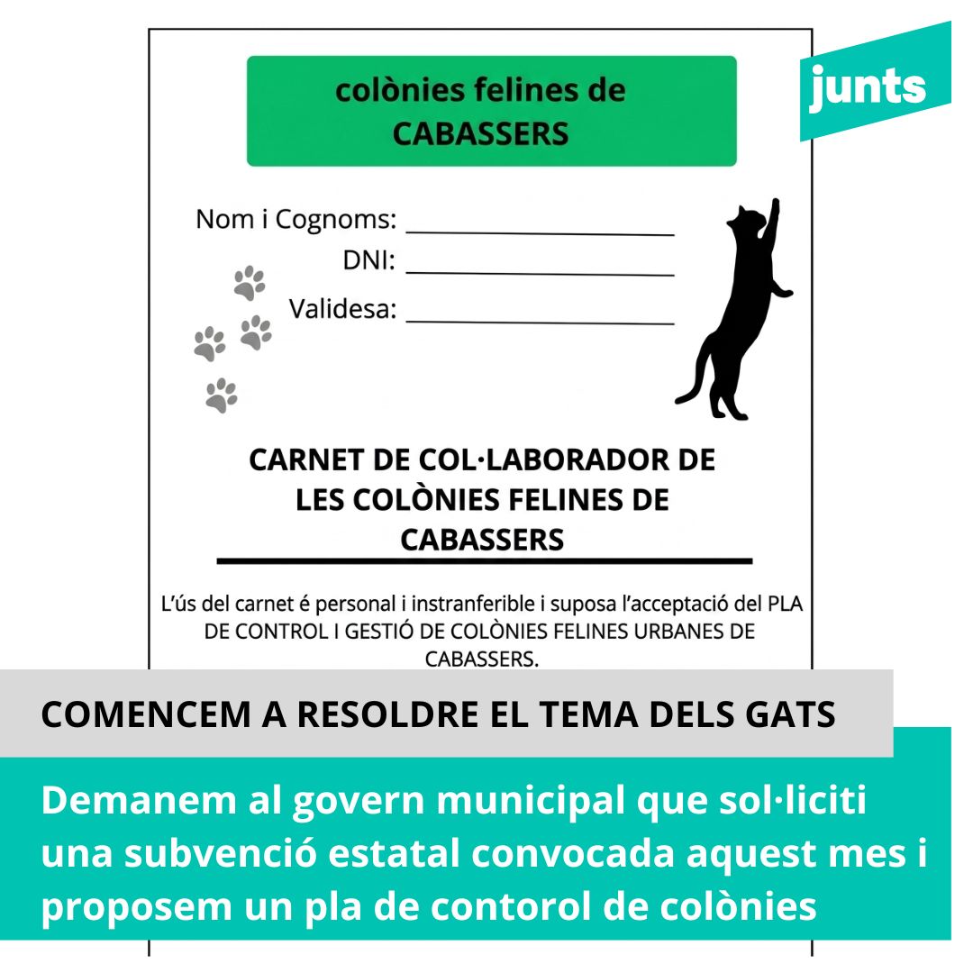 Comencem a resoldre el problema dels gats comunitaris